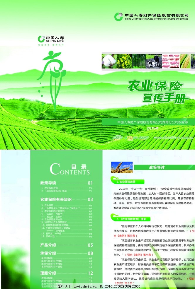 农业保险宣传手册